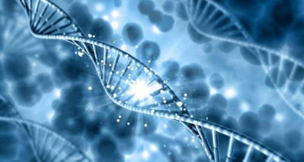 transgenerationnel-pnl