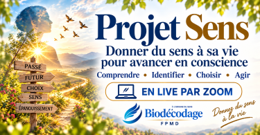 projet-sens-par-zoom