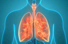 biodecodage-l-asthme