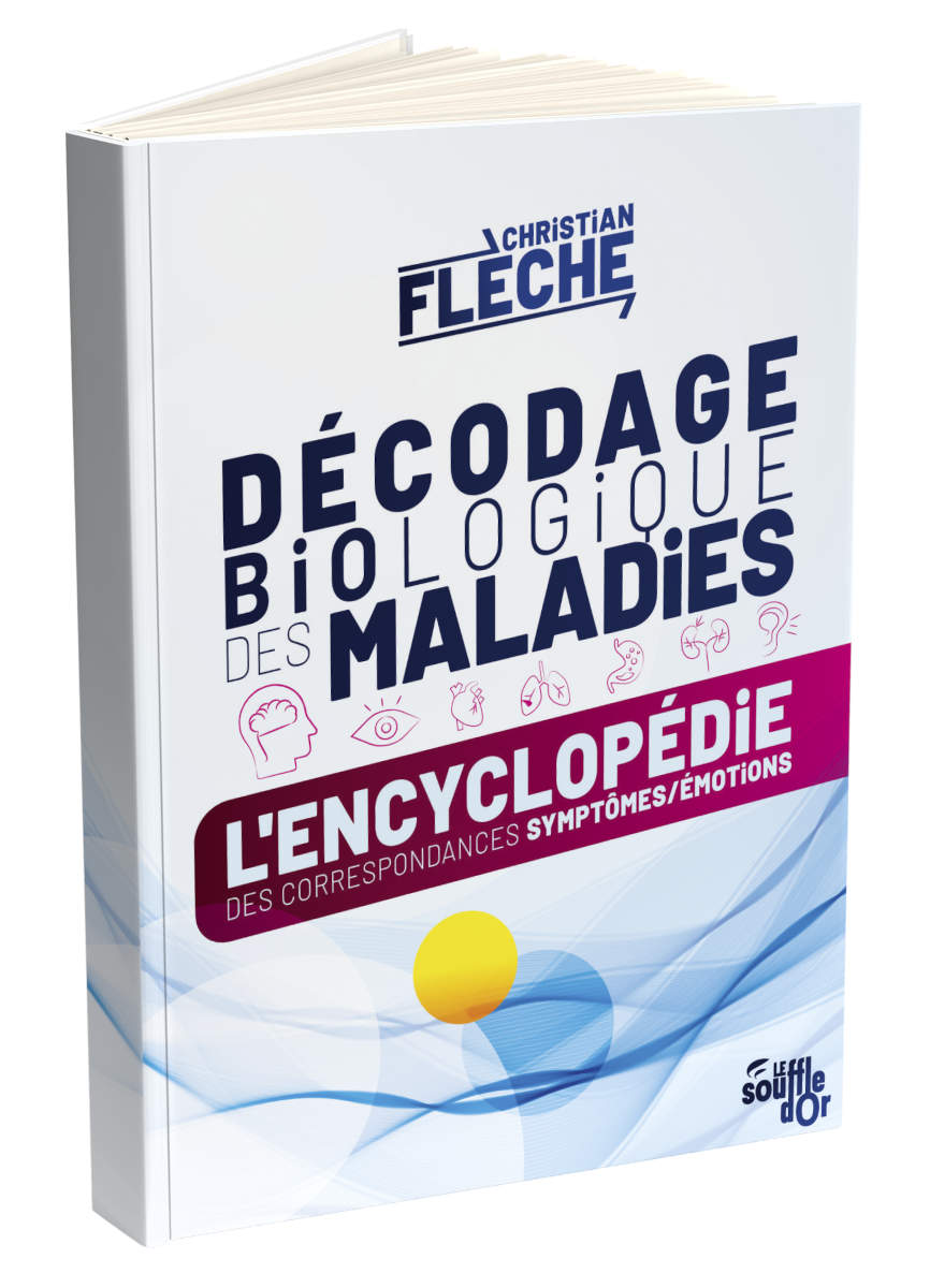 3D-DB-encyclopedie-2025 3D-DB-encyclopedie-2025