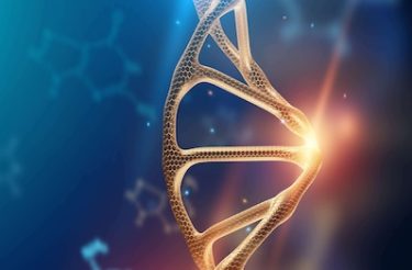 decodage-biologique-cycl-3